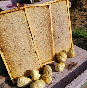 Noni Blossom Honey from  Oahu, Hawaii
