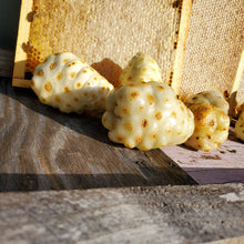 Load image into Gallery viewer, Noni Blossom Honey from  Oahu, Hawaii
